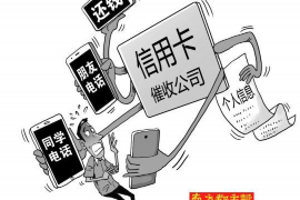 湖滨湖滨专业催债公司，专业催收